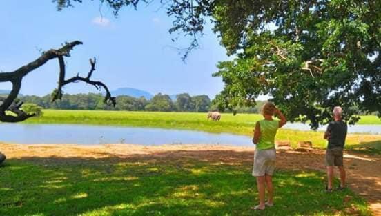 Crocodile Park Bungalow Kataragama Dış mekan fotoğraf