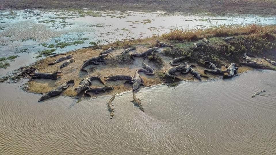 Crocodile Park Bungalow Kataragama Dış mekan fotoğraf