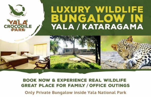 Crocodile Park Bungalow Kataragama Dış mekan fotoğraf